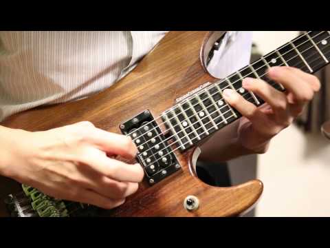 Liquid Tension Experiment - Acid Rain (Guitar Solo Cover)