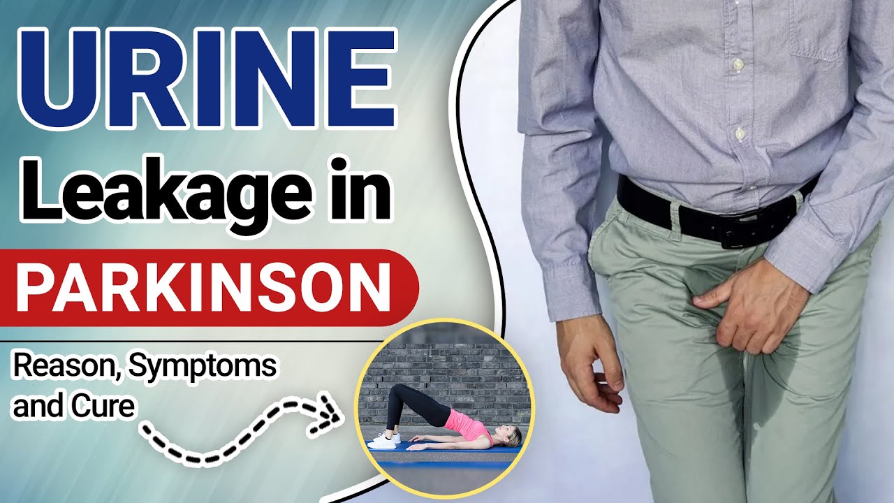 Urine Leakage in Parkinson Reason, Symptoms and Cure Urine leakage