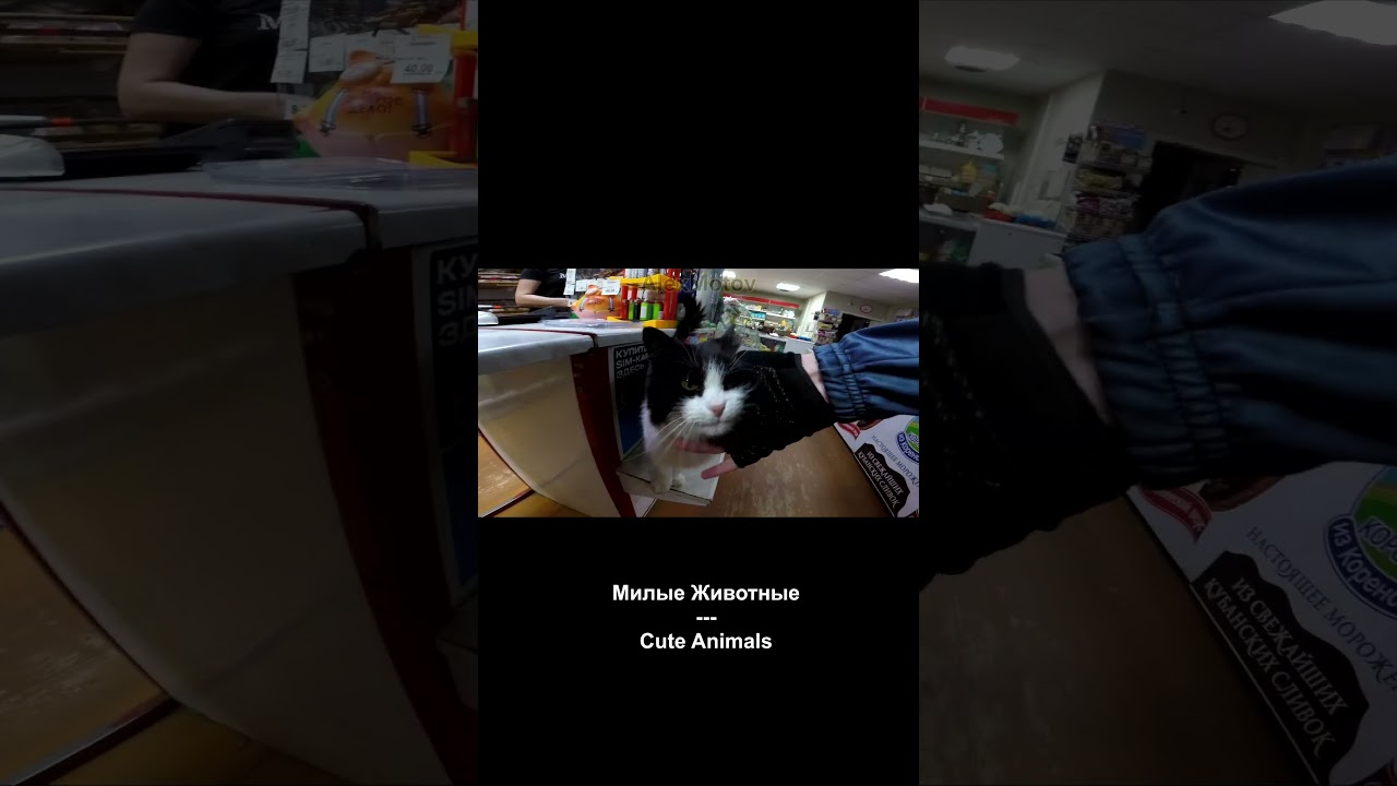 Милые животные! Момент из поездки в Дубну! 