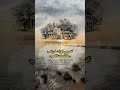 وقتك لمن تحب وقت حب تقدير عناية أولوية