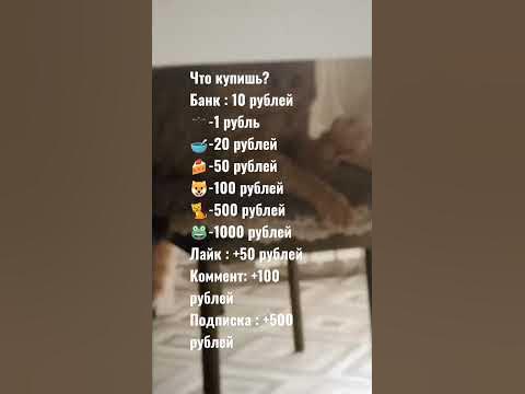 Кот-жаба прям позы делал//что купишь? #shorts - YouTube