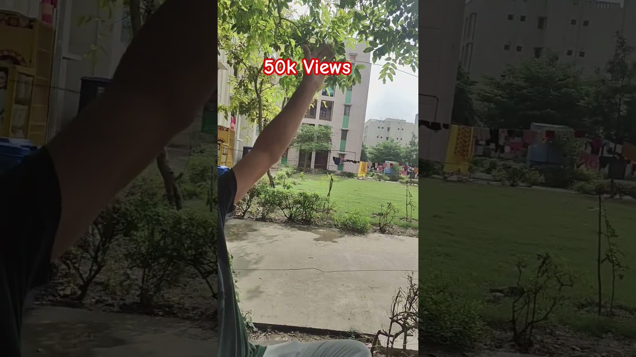 Rohini Sector 34 DDA EWS HOUSING society 