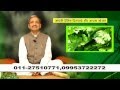         cure all mental problems from banana stem by mohan gupta ji