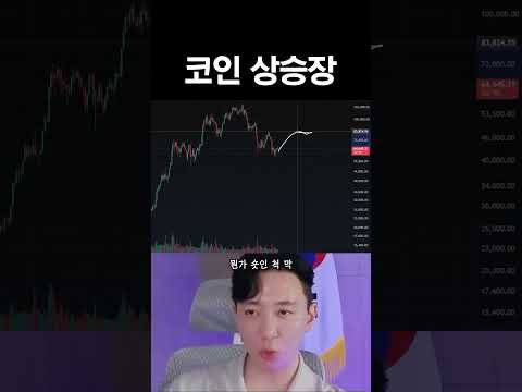다음 코인불장 꿀팁 #비트코인 #주식