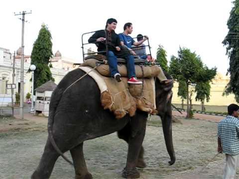 Viaje en Elefante - ( Elephant Ride) Mysore, India