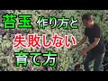 [ガーデニング] 苔玉の作り方・管理の仕方「園芸装飾技能士が教える苔玉の作り方と育て方」