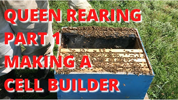 Queen rearing Part 1 making a cell builder