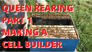 Queen rearing Part 1 making a cell builder