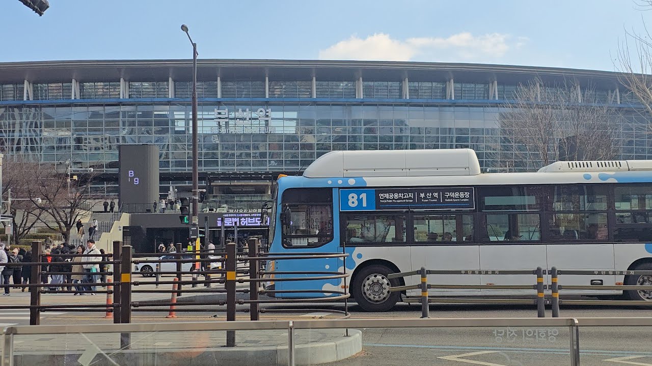 부산갈매기를 찾으며 부산역을 서성이다 - [부산버스]
