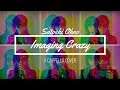 Satoshi Ohno / Imaging Crazy【a cappella cover】