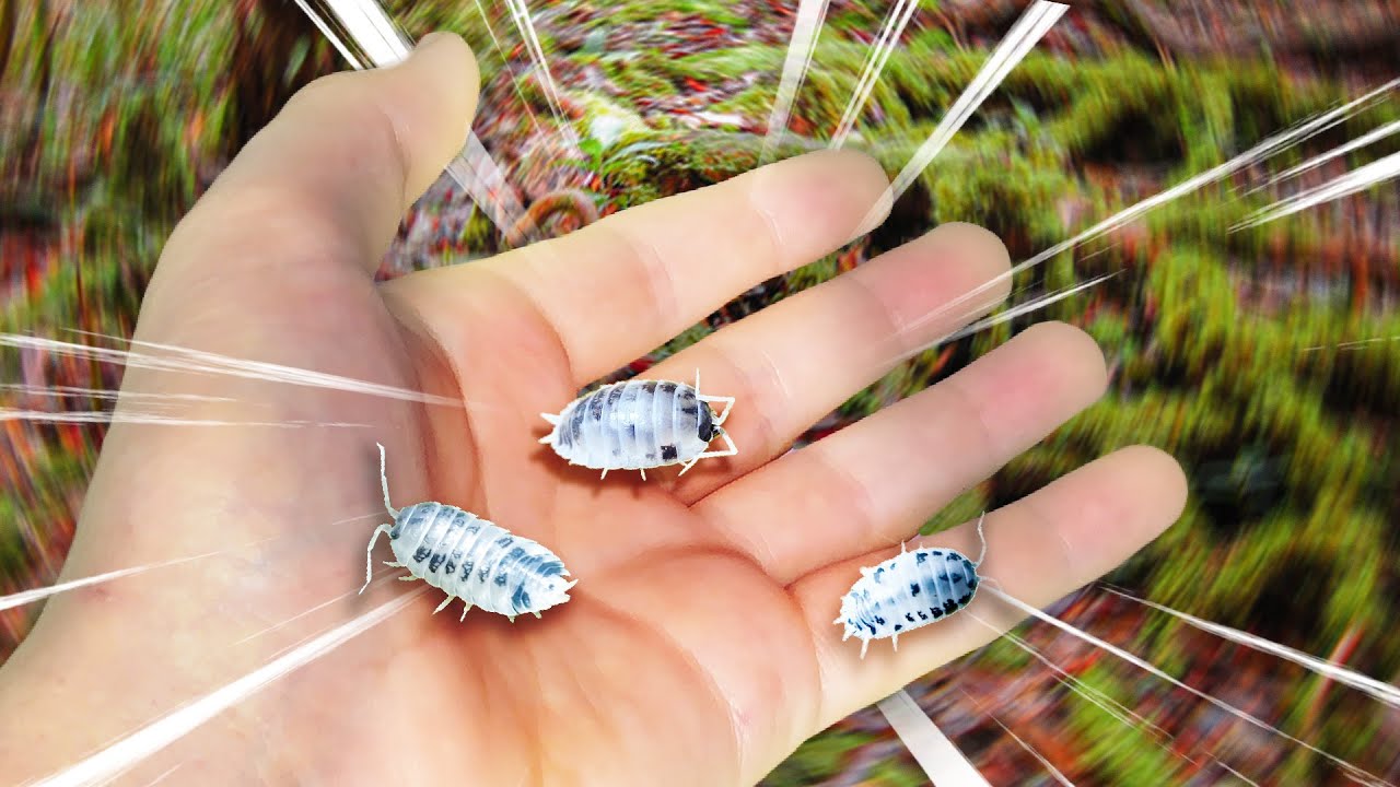 We're Going Bioactive!