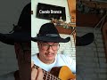 Cavalo branco