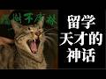 “留学小镇做题家”仲树的天才神话 Episode cover