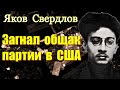 Тайны жизни Свердлова Яшки. Павел Карелин