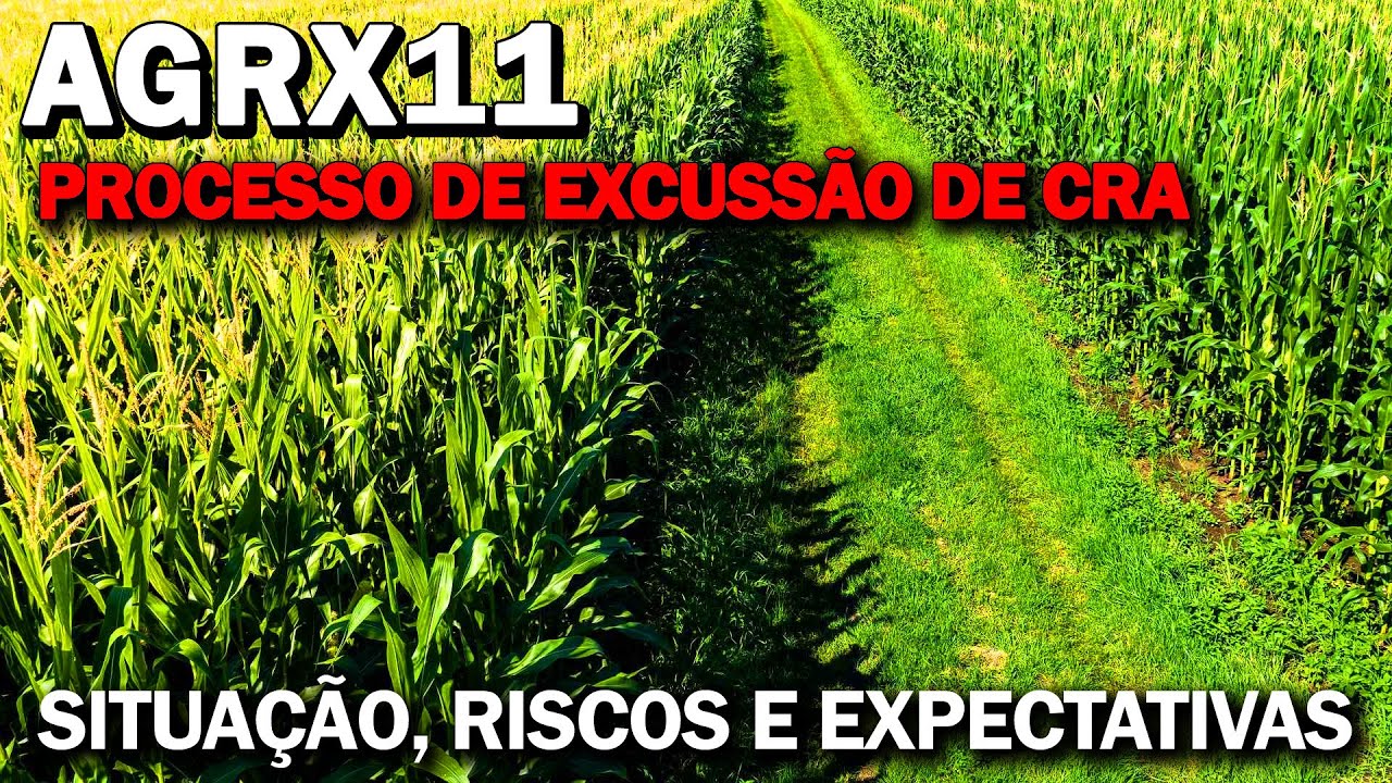 AGRX11, DISTRIBUIÇÃO, MULTA, PROCESSO DE EXCUSSÃO