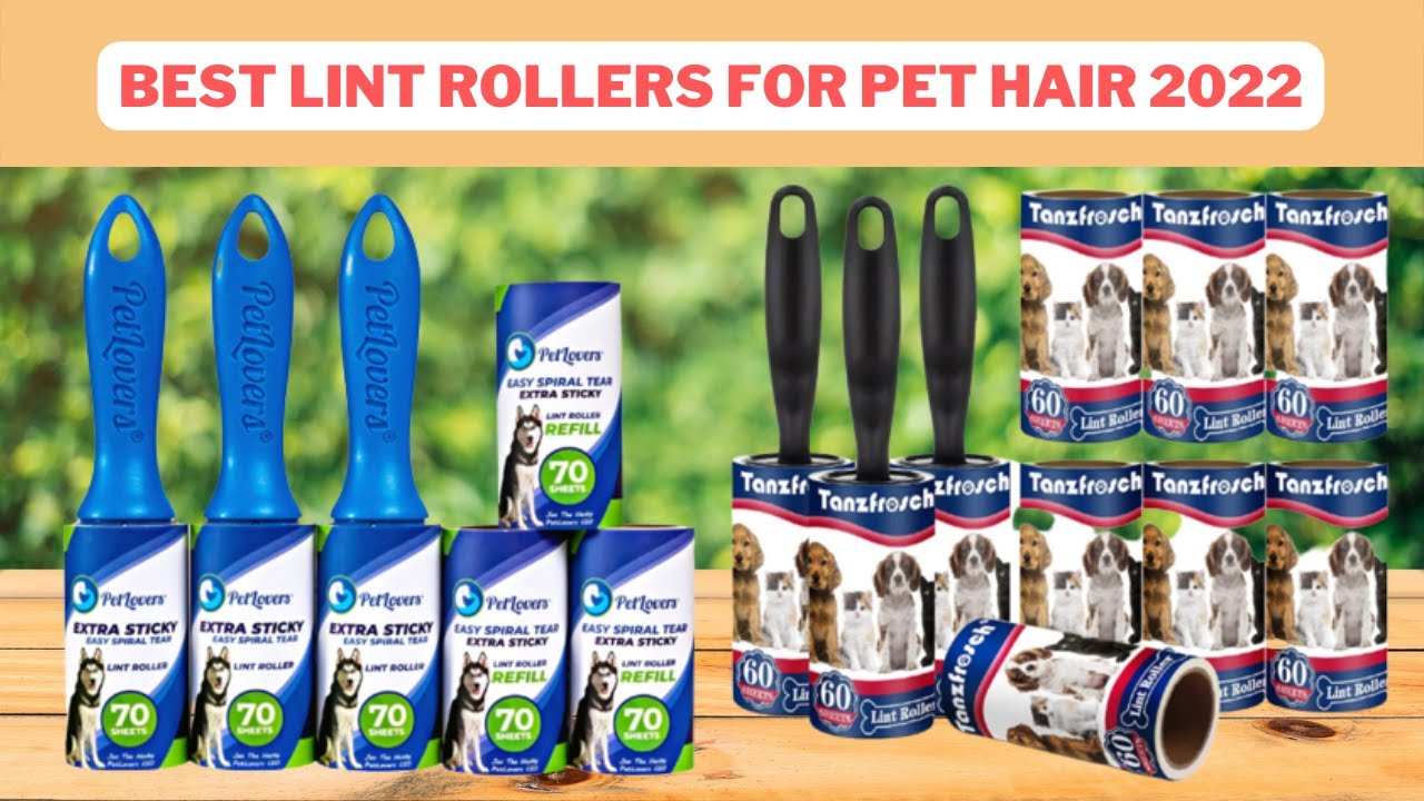 Top 5 Best Lint Rollers For Pet Hair Reviews 2022 YouTube
