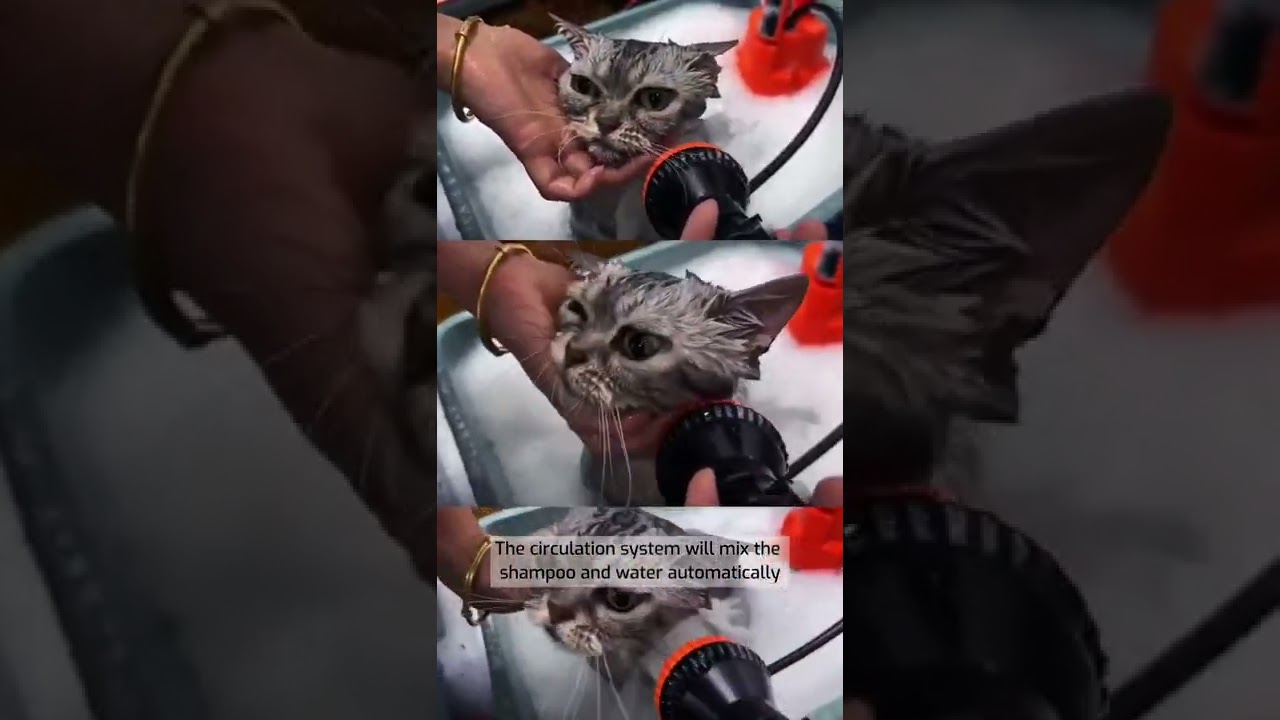 OPAWZ Pet Bathing System For Cat