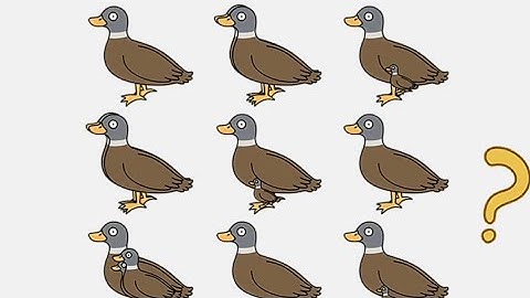 Brain Out 2 Level 212