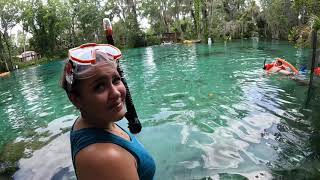 Crystal River | Kings Bay to 3 Sisters paddleboarding