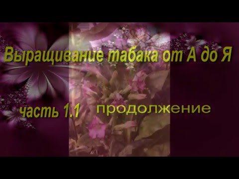 ДНЕВНИК ТАБАКОВОДА №1 ( дополнение 27.02.16.) ТАБАК