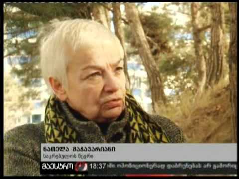 (18:00) 03/02/11 ხეების გაჩეხვა