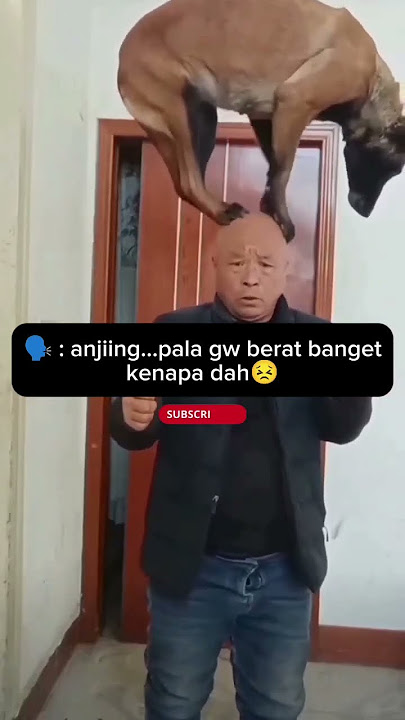gak sopan anjing #shorts #feedshorts #masukberanda #shortsviral