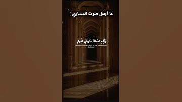 ما أجمل صوت المنشاوي #القرآن_الكريم #المنشاوي #تلاوة_خاشعة #راحة_نفسية
