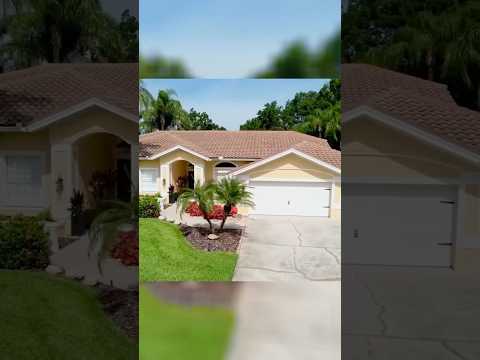1358 Forestedge Blvd, Oldsmar, FL home video tour