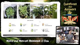 Grow Diaries- E#1 follow along while we review gardens