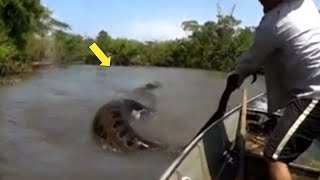Man Thinks He Catches Giant 'Snake' From River, Turns Pale After He Sees What It Really Is by I Heart Animals 1,110 views 1 month ago 13 minutes, 28 seconds