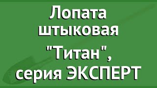 Лопата штыковая Титан, серия ЭКСПЕРТ (ЗУБР) обзор 4-39416 бренд ЗУБР производитель Зубр ОВК (Россия)