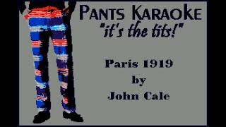 John Cale - Paris 1919 [karaoke]