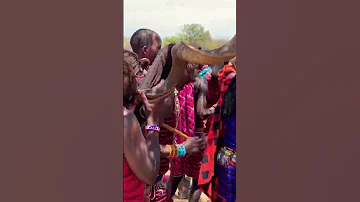 Maasai Shorts 