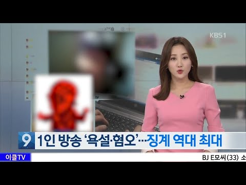 도 넘은 인터넷 방송, 이제는 규제가 필요하다