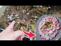 【市場】タラバガニは生が美味いと判明してしまった。【小樽】