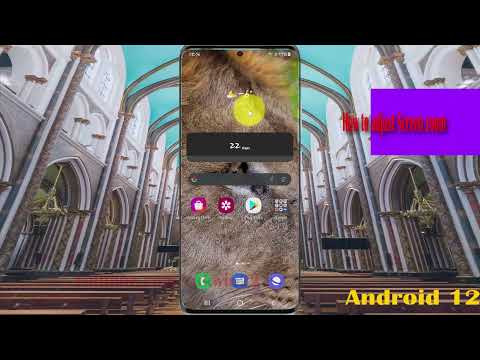 How to adjust Screen zoom in Samsung Galaxy S21 Plus
