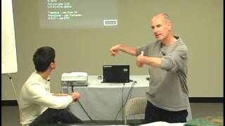 Best Japanese Acupuncture Points for Shoulder Pain -- Online Acupuncture PDA