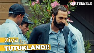 Ziya Tutuklandı Kertenkele 33.Bölüm