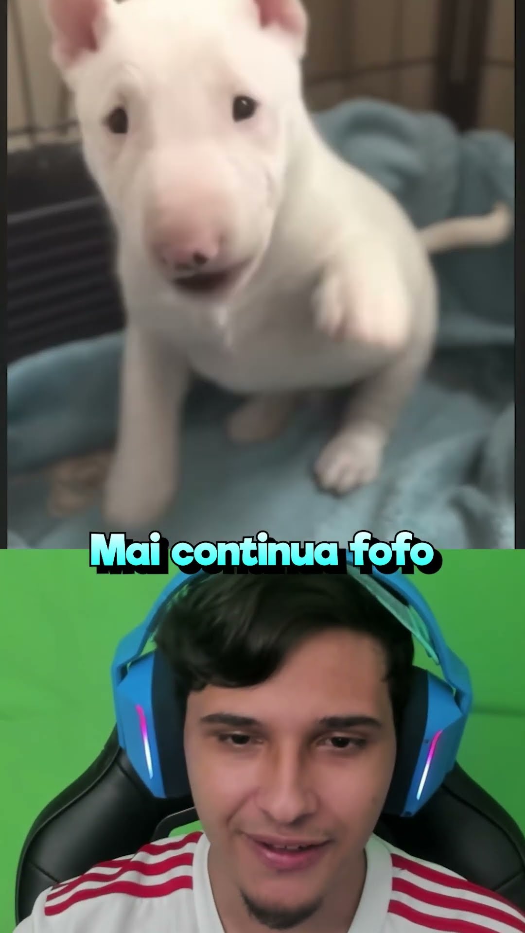 Poder do Tempo nos PETS