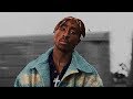 2Pac - Cant Stop Me | 2020