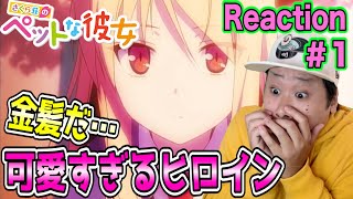 さくら荘のペットな彼女 同時視聴
