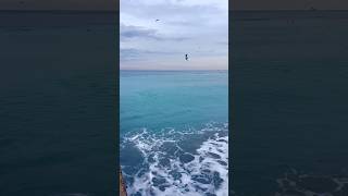 Ой нечаянно включил.. как это все выключить? Приколы, природа, море, смешные видео юмор мемы зож пп