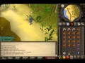 Runescape 2007 Harpie Bug Swarm Slayer Guide