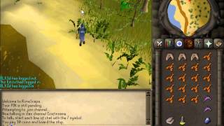 Runescape 2007 Harpie Bug Swarm Slayer Guide