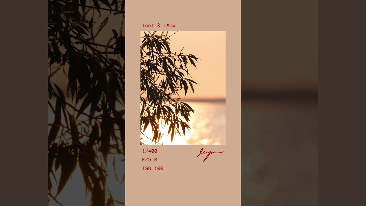 POV Photography Camera Settings | Sunset 