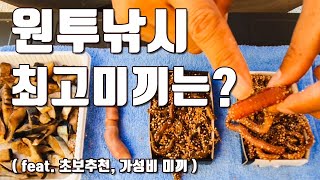 [다리tv] 바다낚시 최고미끼는 입문자분들을 위한 가성비 미끼 추천 