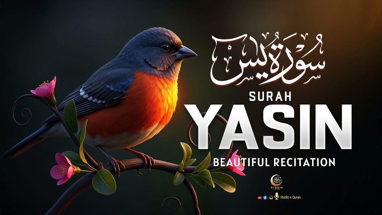 Heart-warming recitation of Surah Yaseen. Surah Yaseen (YASIN) By Alaa Aqel Studio-e-Quran