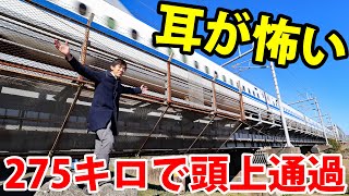 【お手軽恐怖スポット】疾走する東海道新幹線が頭上をかすめる！ 相模川橋梁