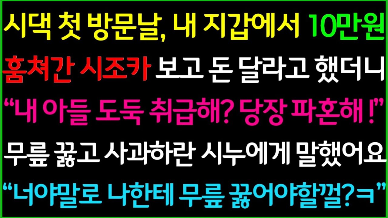 (사이다사연)시댁 첫 방문날, 내 지갑에서 10만원 훔쳐간 시조카에게 돈 달라고 하자 시누가 애 보는 앞에서 무릎꿇고 사과하라는데.. 사이다 파혼합니다/드라마라디오/사이다실화사연