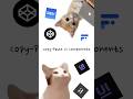 Kitty Discovers Copy-Paste UI Components✨#frontend #CatMeme #UIComponents #FrontendDev #CSSAnimation